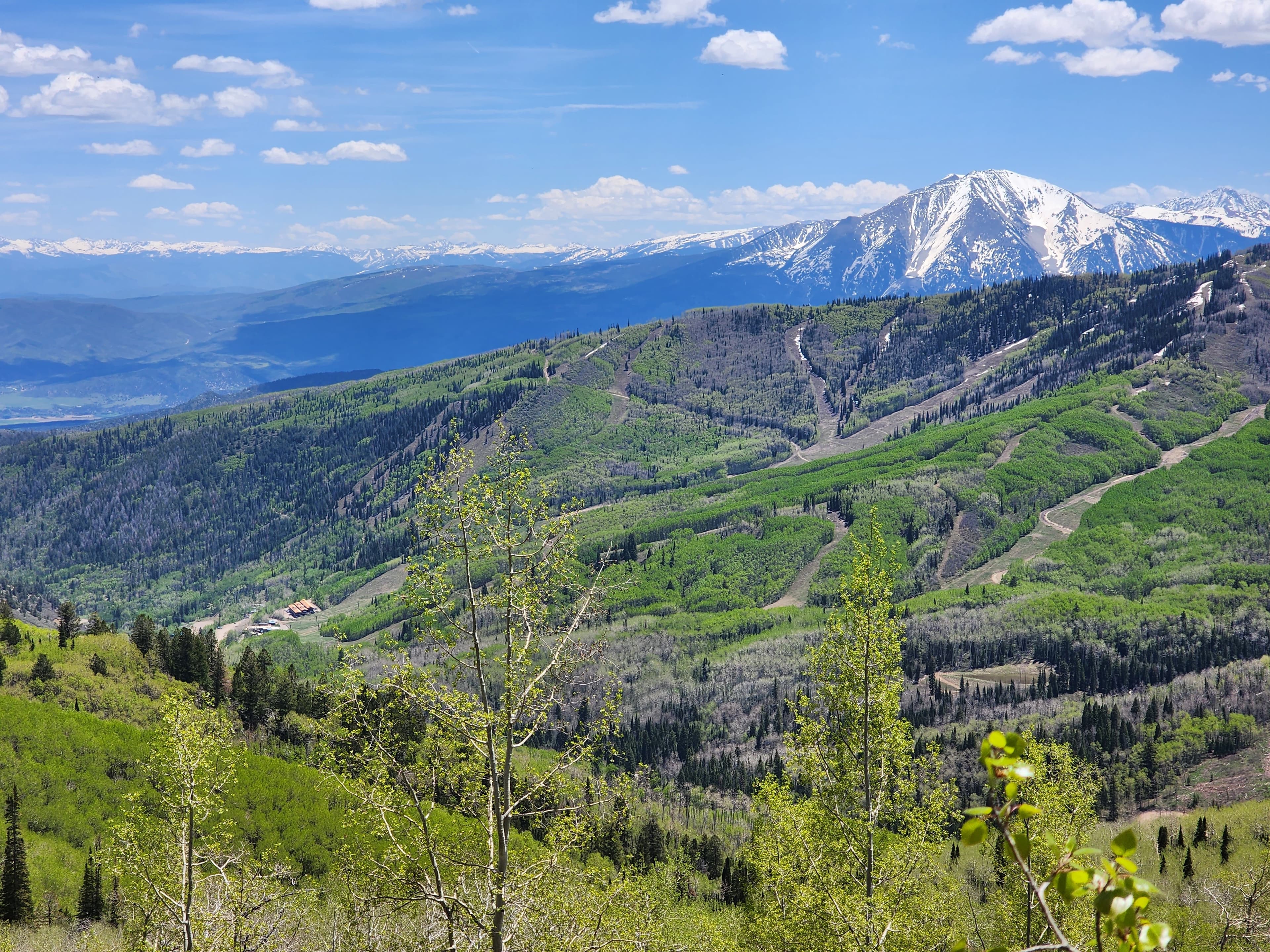 Green-season valley view of Brettelberg beneath Mt. Sopris